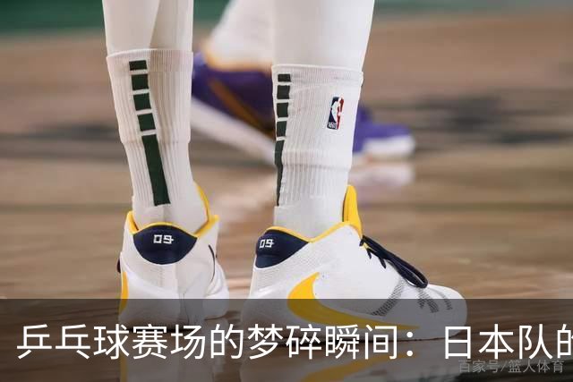 乒乓球赛场的梦碎瞬间：日本队的“大丰收”变“大失血